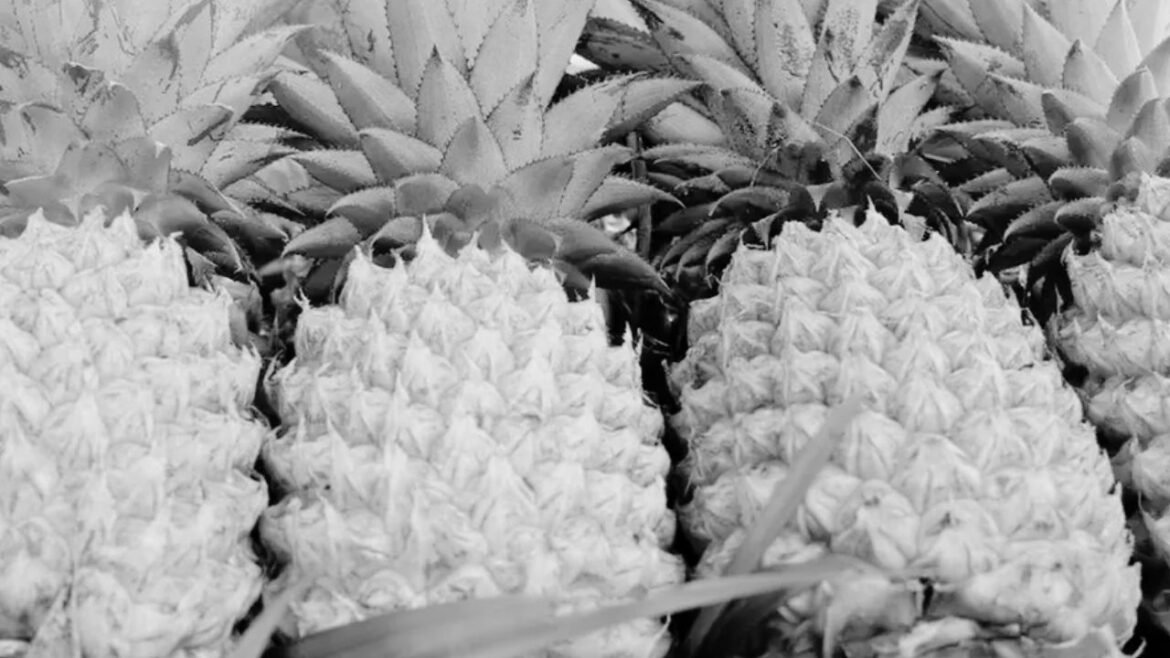 Pineapple Shortage